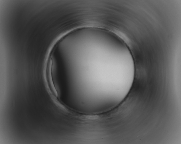 X0000092101136200710031207