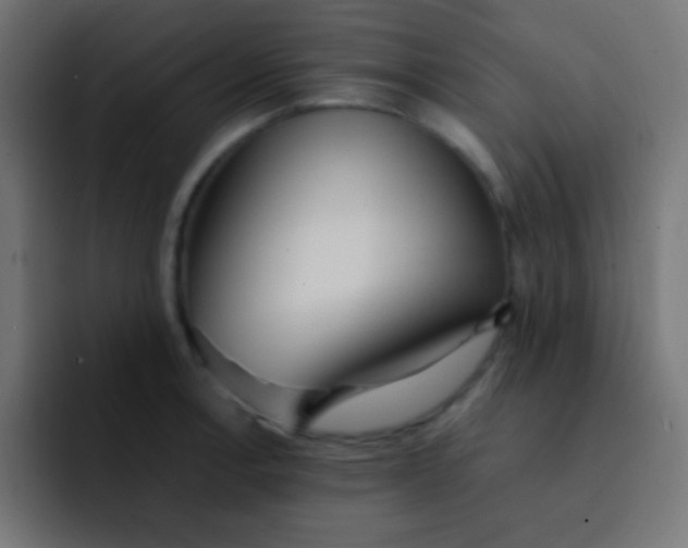 X0000092101138200710031207