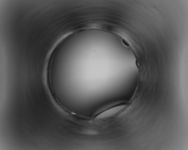 X0000092101139200710031207