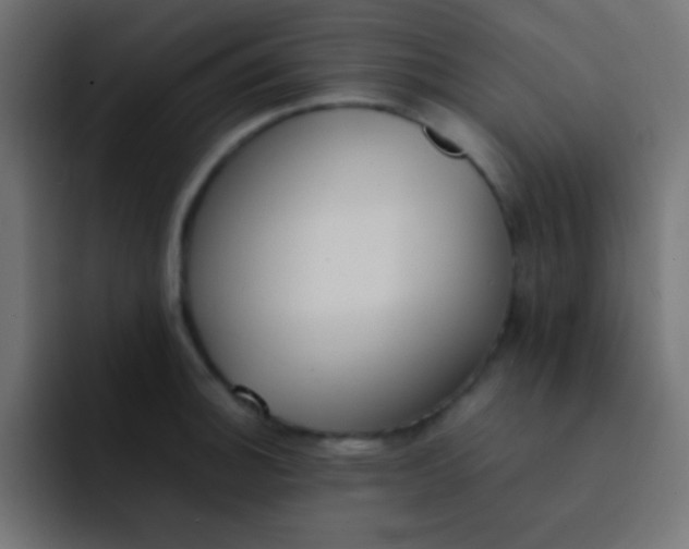 X0000092101140200710031207