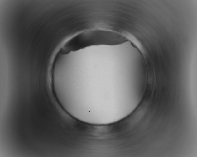 X0000092101144200710031208