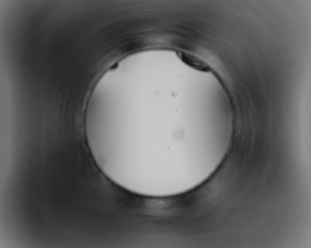 X0000092101145200710031208