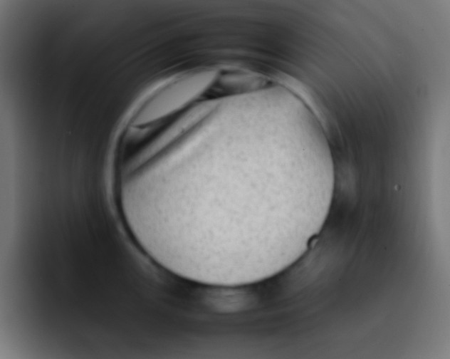 X0000092101147200710031208