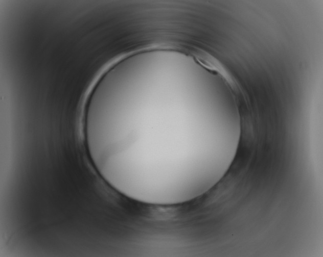 X0000092101148200710031208