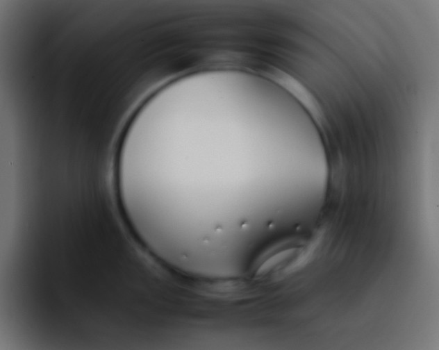 X0000092101149200710031208