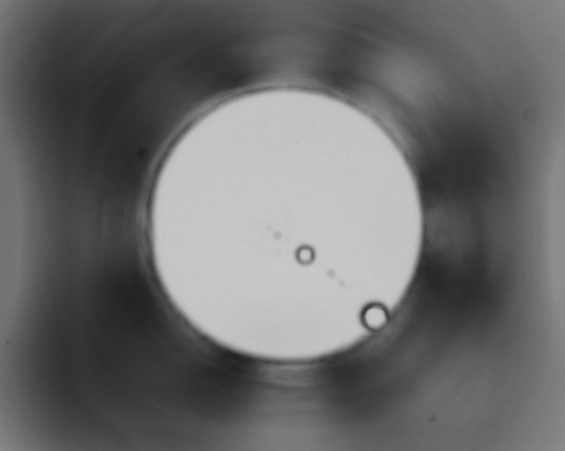 X0000092101150200710031208