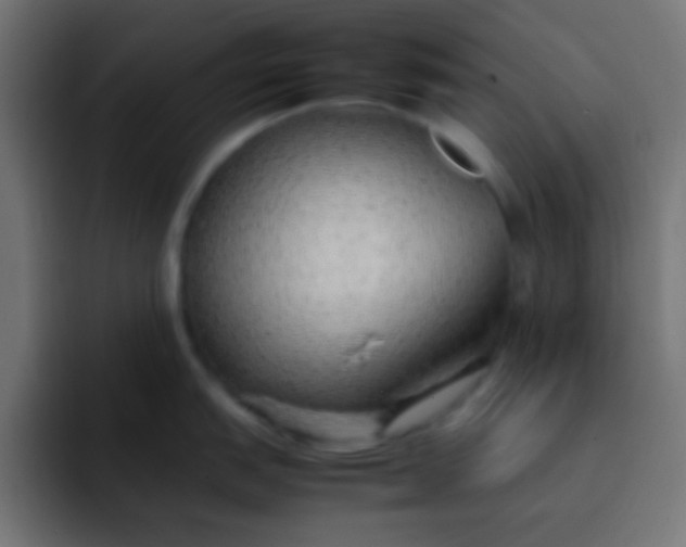 X0000092101151200710031208