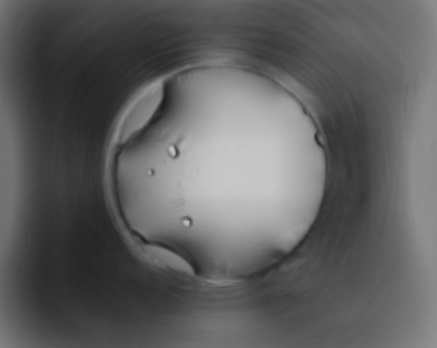 X0000092101152200710031208