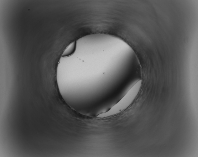 X0000092101153200710031207