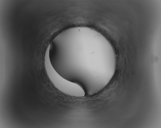 X0000092101157200710031207