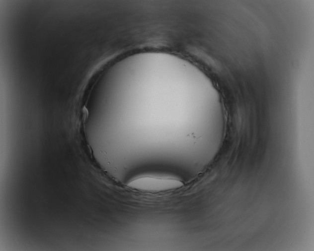 X0000092101160200710031207