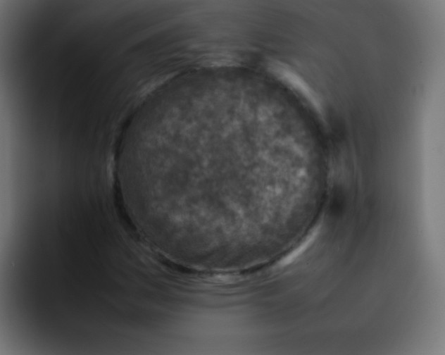 X0000092101161200710031207