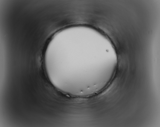 X0000092101163200710031207