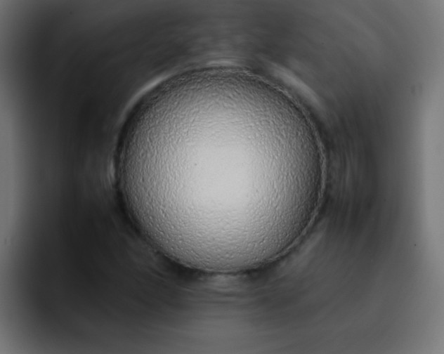 X0000092101166200710031207