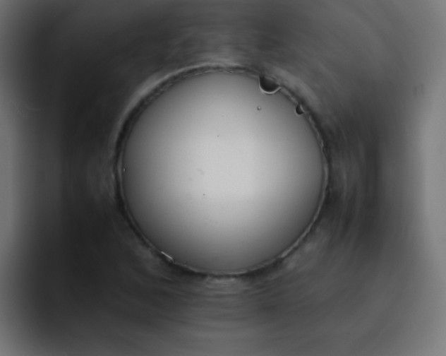 X0000092101168200710031207