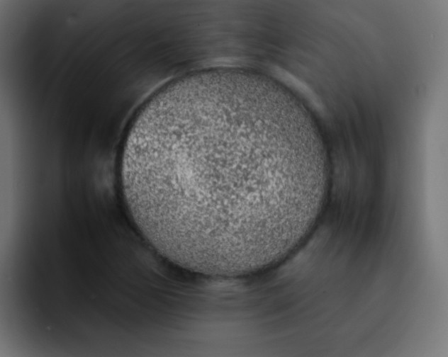 X0000092101170200710031207