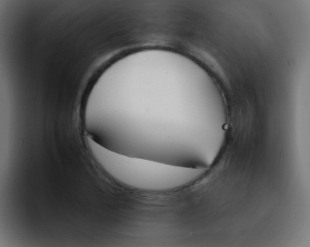 X0000092101172200710031207