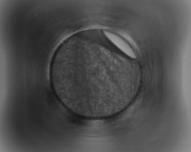 X0000092101173200710031207