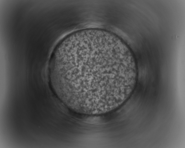 X0000092101174200710031207