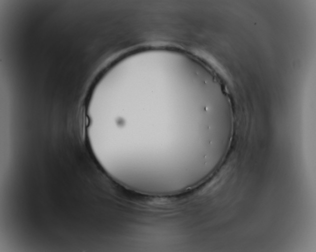 X0000092101175200710031207