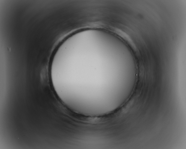 X0000092101176200710031207