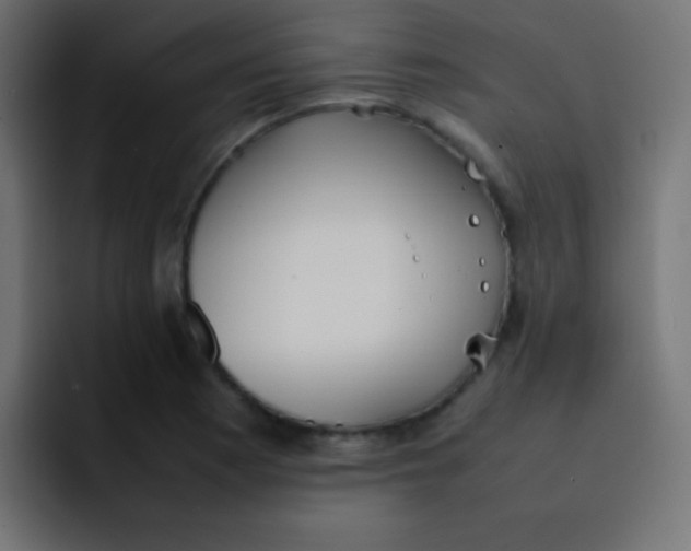 X0000092101177200710031207