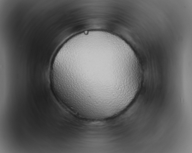 X0000092101178200710031207