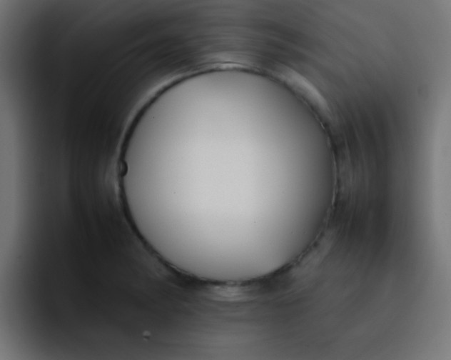 X0000092101182200710031207