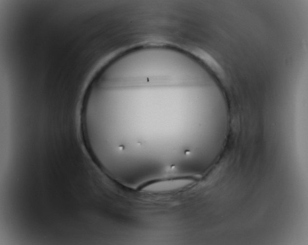 X0000092101183200710031207