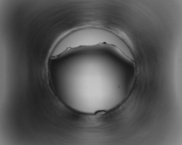 X0000092101184200710031207