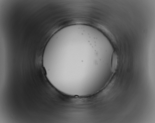 X0000092101185200710031207