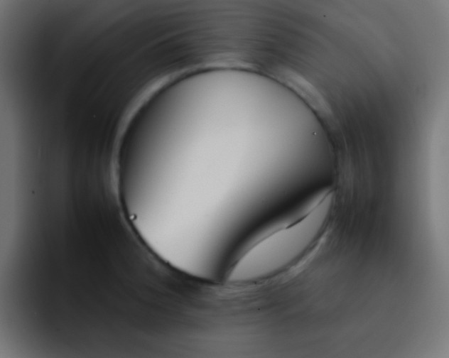 X0000092101188200710031207