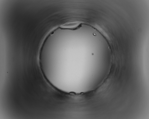 X0000092101189200710031207