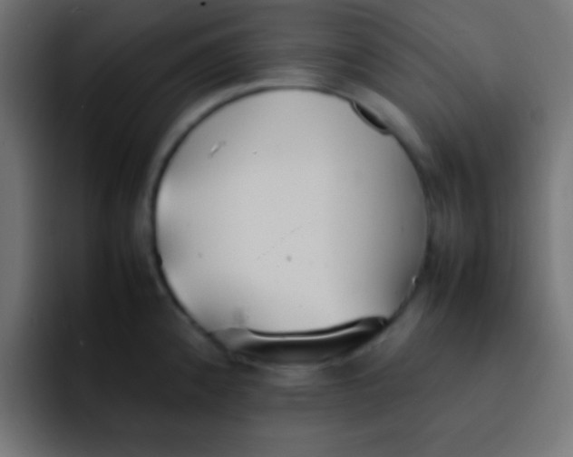 X0000092101192200710031207