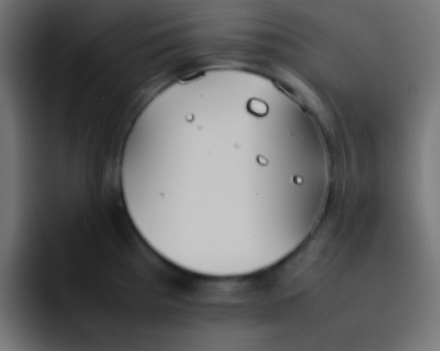 X0000092101193200710031207