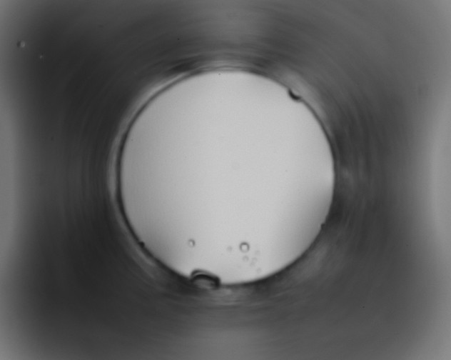 X0000092101195200710031207