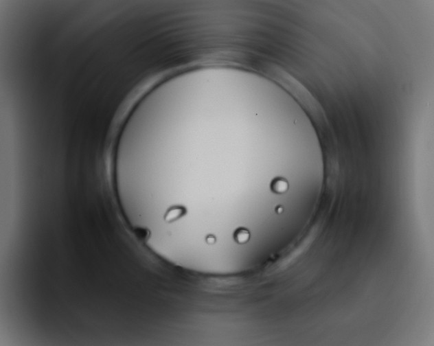 X0000092101196200710031207