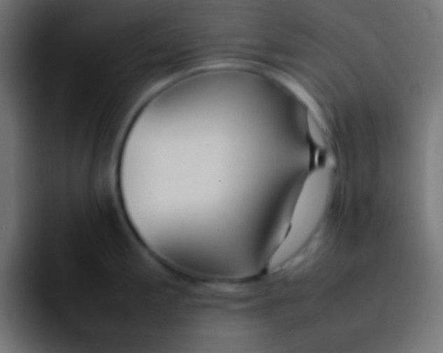 X0000092101197200710031207