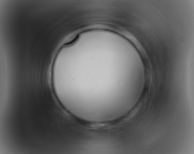 X0000092101199200710031207