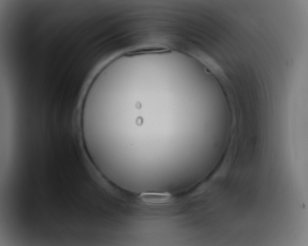 X0000092101200200710031207