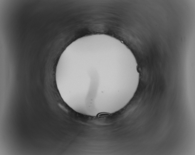 X0000092101201200710031206