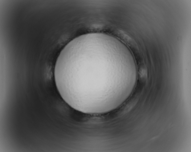 X0000092101204200710031206