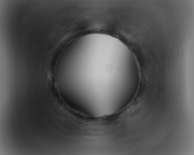 X0000092101206200710031206