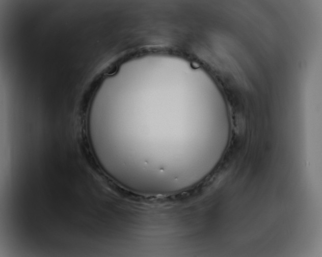 X0000092101208200710031206