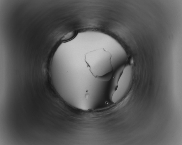 X0000092101210200710031206