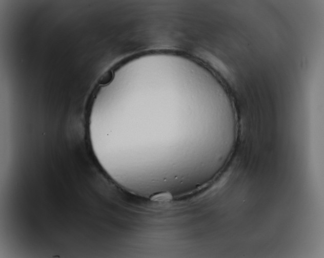 X0000092101212200710031206