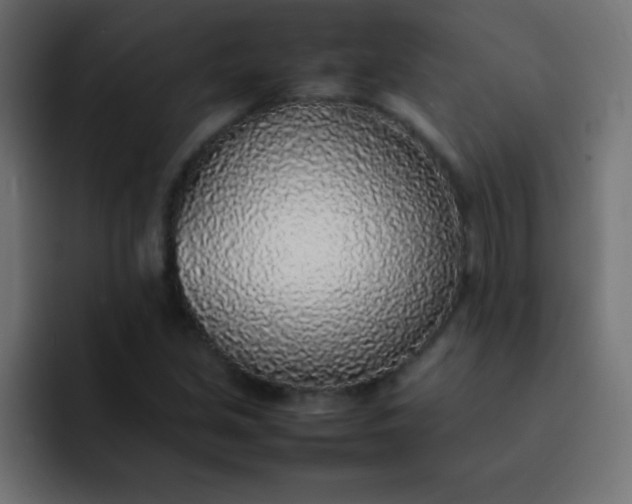 X0000092101213200710031206