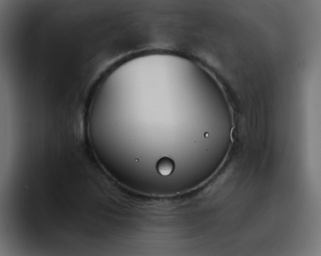 X0000092101214200710031206