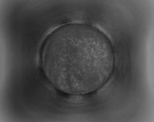 X0000092101215200710031206