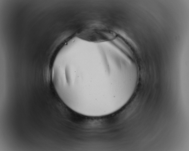 X0000092101221200710031206